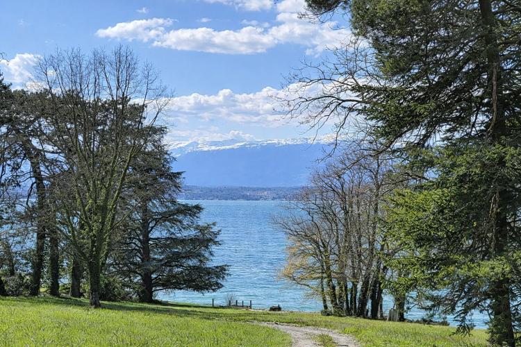Maison familiale avec studio à Hermance proche du Lac